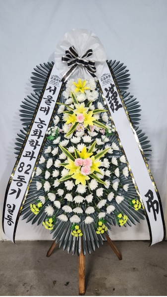 �����ô� ���� ǰ��! - �ö��119 ����3�ܱ⺻ȭȯ  (�������Ʈ) �ɹ�� ���� 