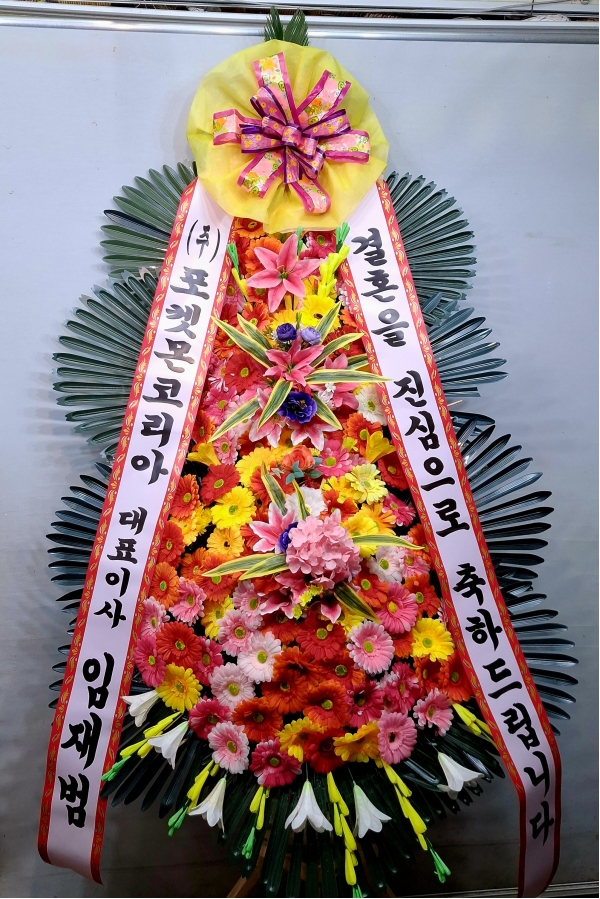 ����3�ܱ⺻ȭȯ �ɹ�� ���� 