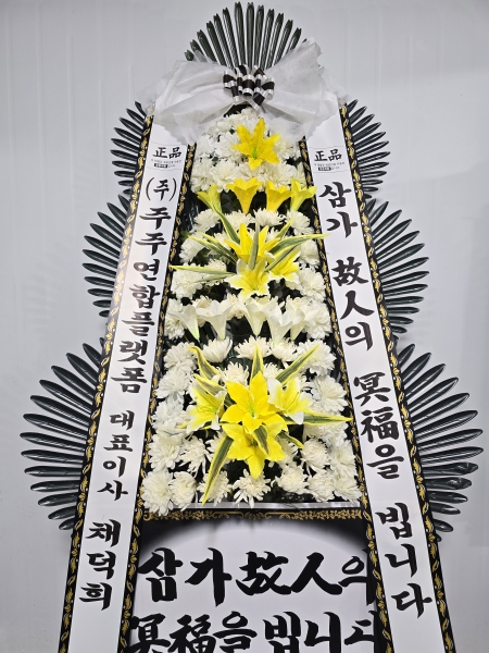 ������ ���� ���� 3�� ȭȯ �ɹ�� ���� 