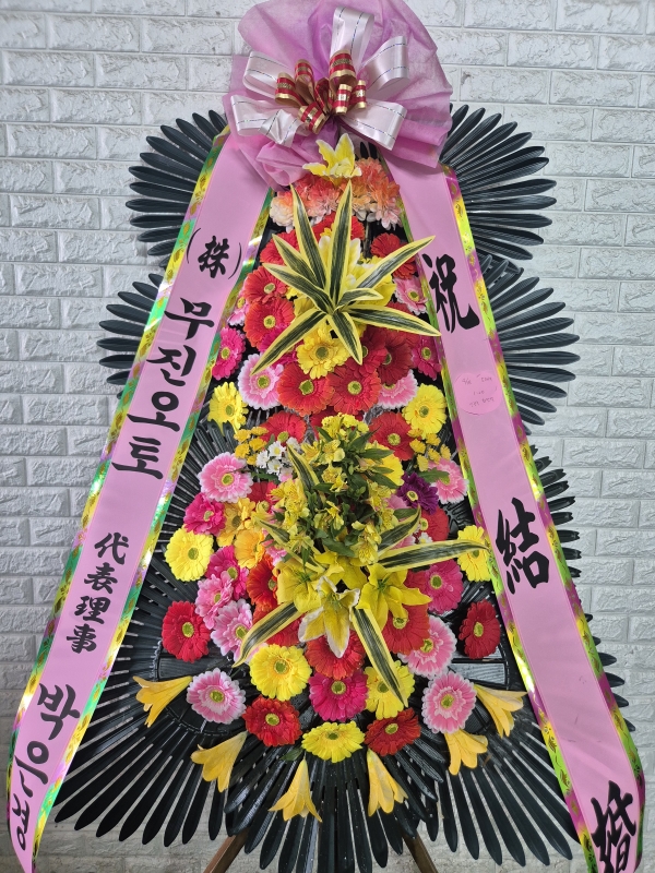 ������ ���� ����3��ȭȯ �ɹ�� ���� 