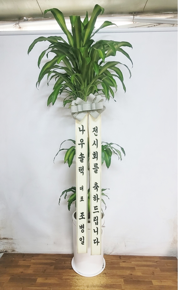 ����� �ҷ����� �Ƹ��ٿ� �ǳ��Ĺ� - ����(Ư��) �ɹ�� ���� 