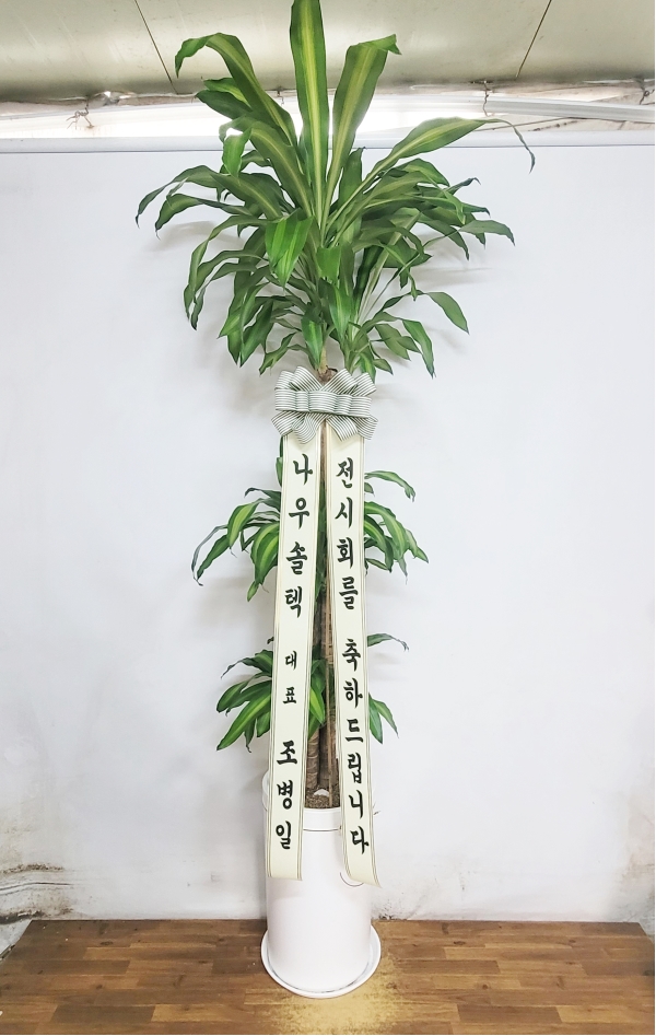 ����� �ҷ����� �Ƹ��ٿ� �ǳ��Ĺ� - ����(Ư��) �ɹ�� ���� 