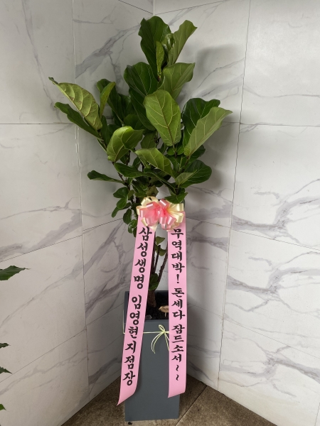 Office&Nature - FRPȭ���� ������������ �ɹ�� ���� 