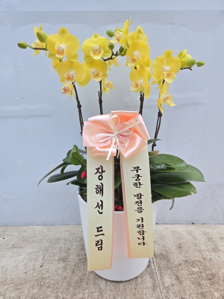 ������ ������ ���, ������ ������ ���� ���� ��� ȣ���� �ɹ�� ���� 