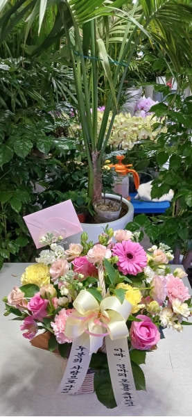 [����]�������� - milky way(���ϼ�) �ɹ�� ���� 