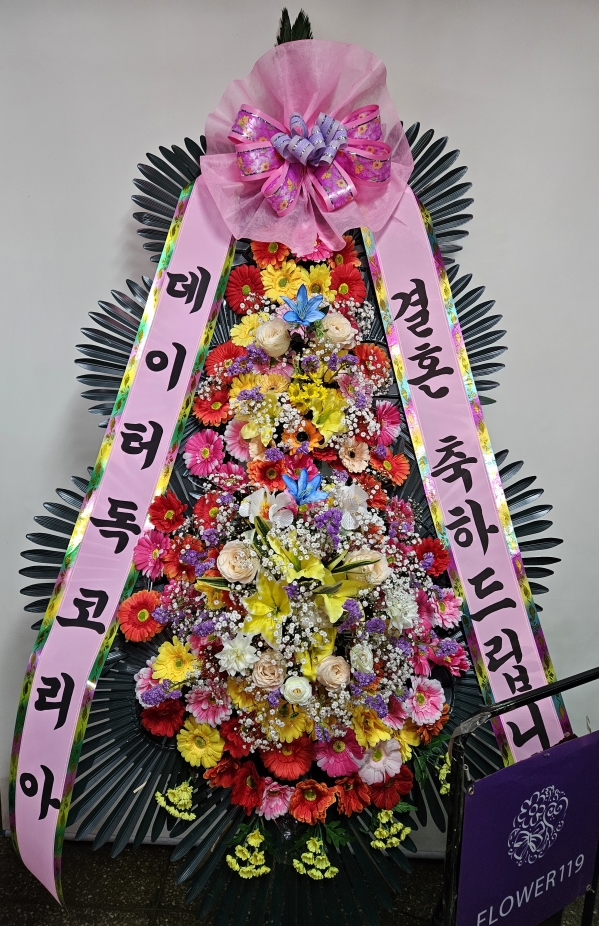 ����3�ܱ⺻ȭȯ �ɹ�� ���� 