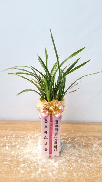 [�λ��̵� ��õ] ���� ���� �Ǿ��ִ� ����� �ɹ�� ���� 