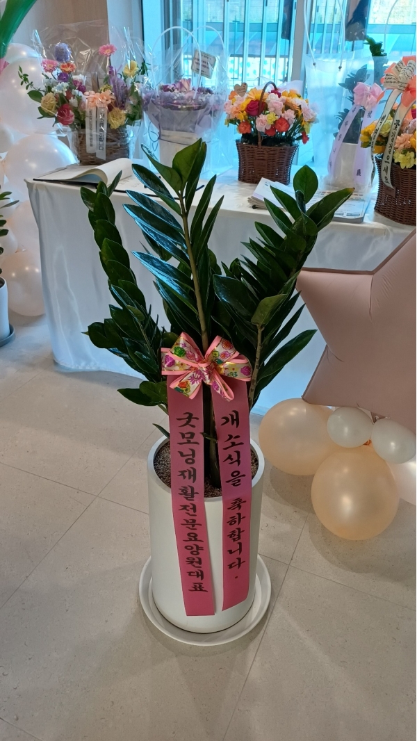 �������� ������õ - �̱׷��� ������ C �ɹ�� ���� 