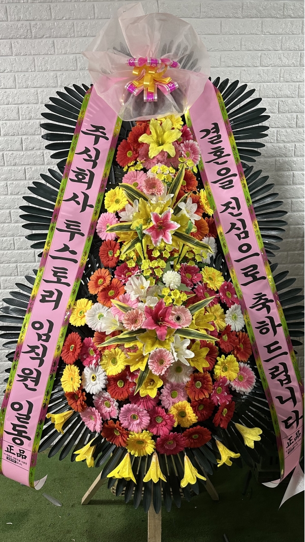 ������ ���� ����3��ȭȯ �ɹ�� ���� 