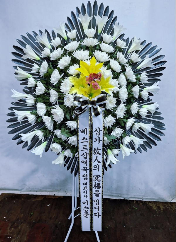 ���� �ֵ��� ���� ����ȭȯ �ɹ�� ���� 