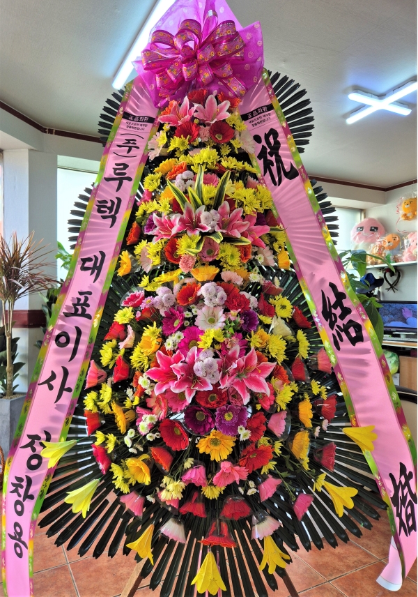 ����3�ܱ⺻ȭȯ �ɹ�� ���� 