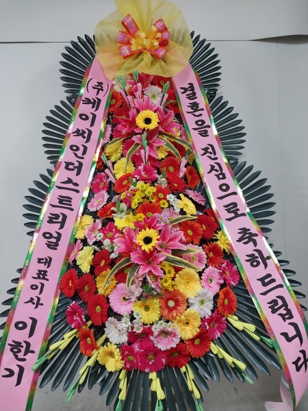 �����ôº��� ǰ��! - �ö��119 ����3��ȭȯ