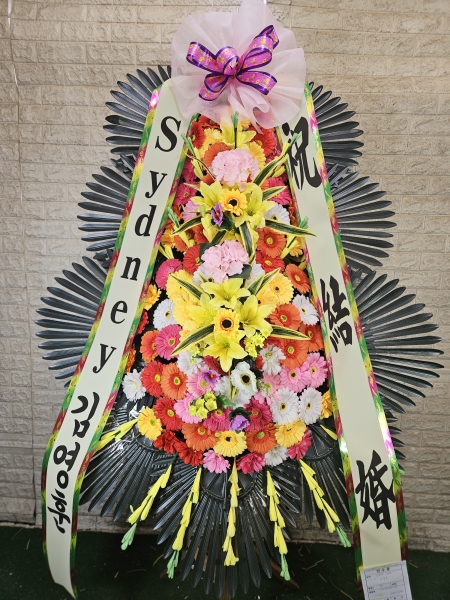 ����3�ܱ⺻ȭȯ �ɹ�� ���� 