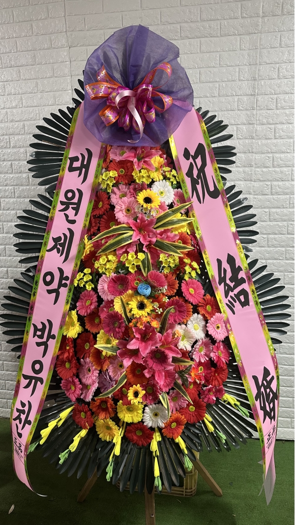 ������ ���� ����3��ȭȯ �ɹ�� ���� 