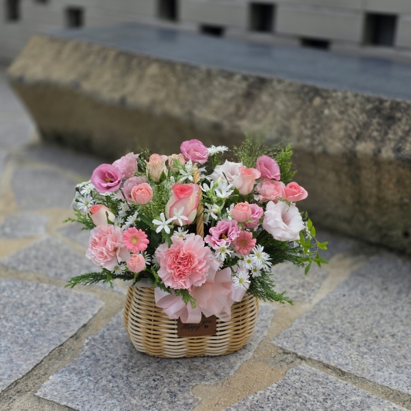 []Rose day-ູ  ɹ  