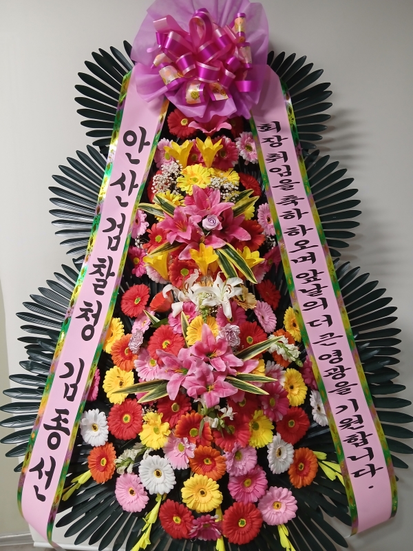 ����3�ܱ⺻ȭȯ �ɹ�� ���� 