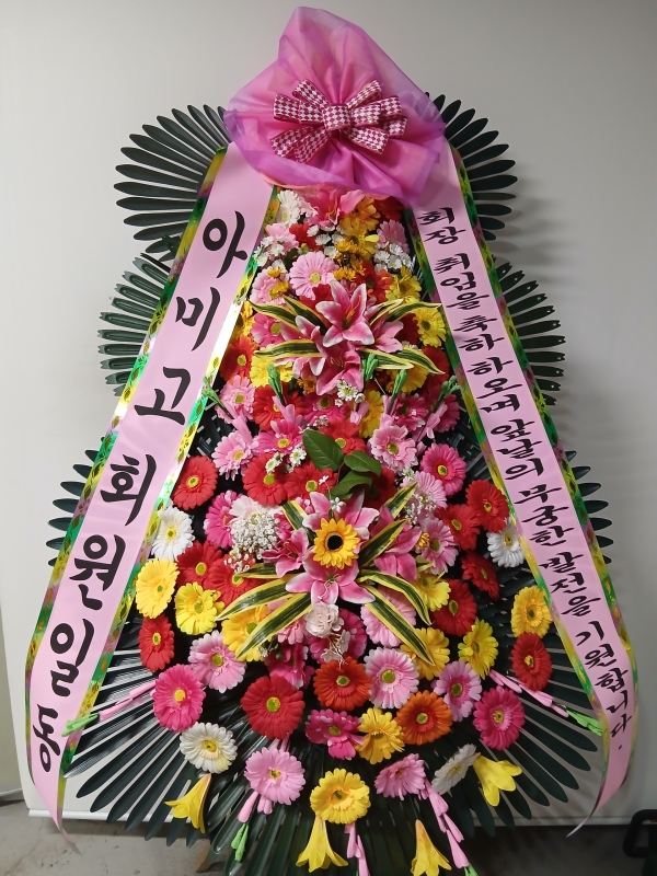 ����3�ܱ⺻ȭȯ �ɹ�� ���� 