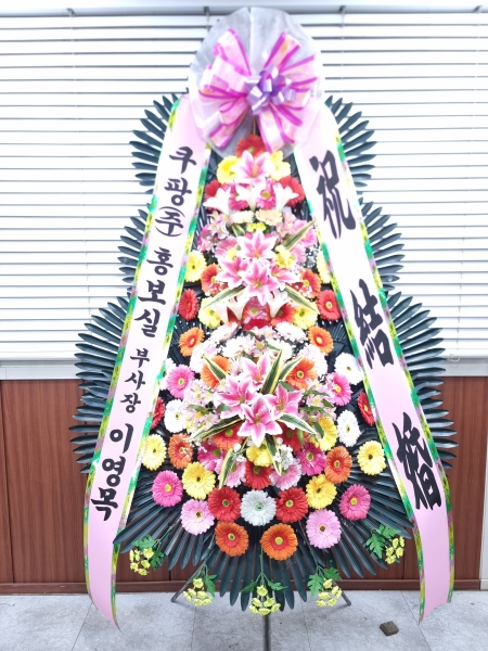 ����3�ܱ⺻ȭȯ �ɹ�� ���� 