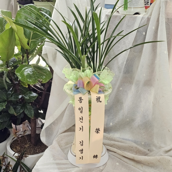 [�λ��̵� ��õ] �Ͼ� ���� �Ǿ�� �����(***ȭ��ǰ���� ȭ�⺯��***) �ɹ�� ���� 