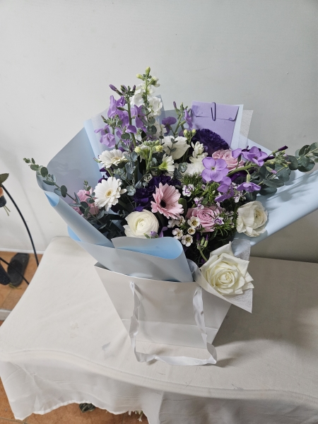 Spring violet - ����� ���� �޻� �ɹ�� ���� 