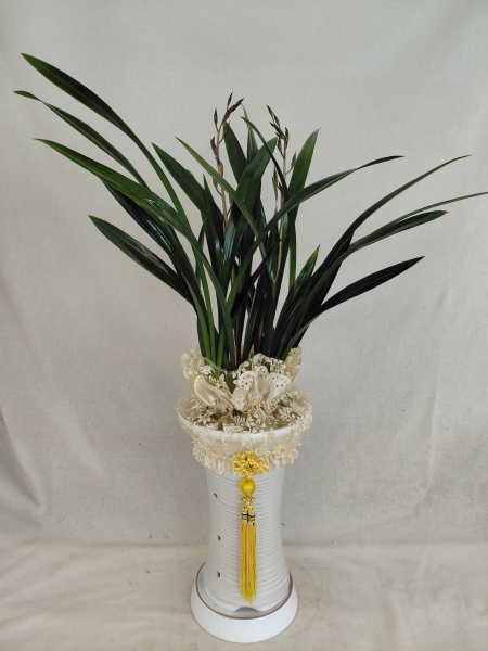 [�λ��̵� ��õ] �Ͼ���� �Ǿ�� ���ο� ����� �ɹ�� ���� 