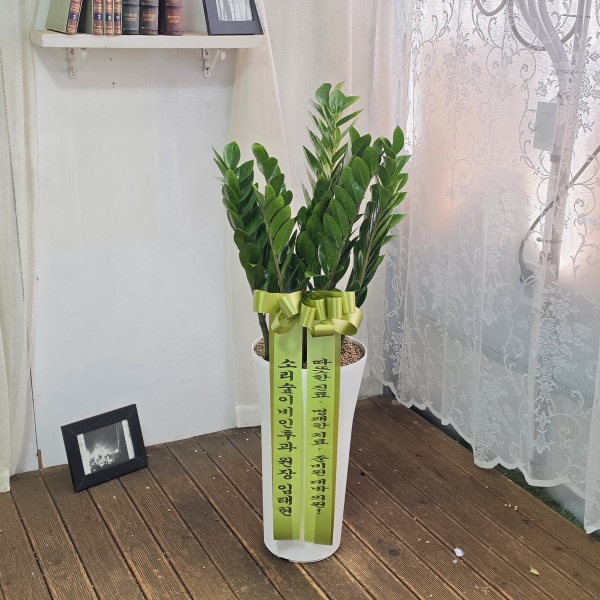 ���� ����ȭ�� - �������� �ɹ�� ���� 