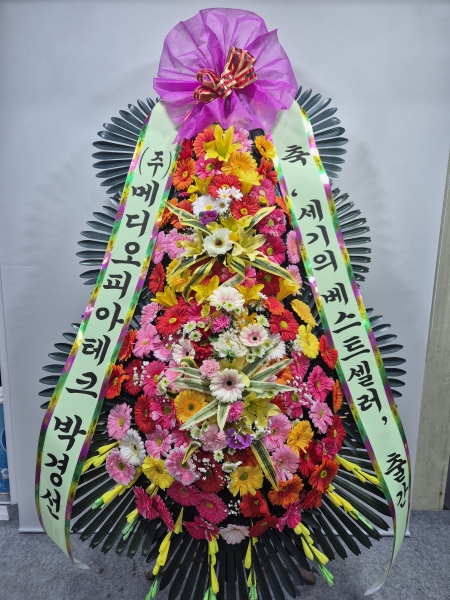 ����3�ܱ⺻ȭȯ �ɹ�� ���� 