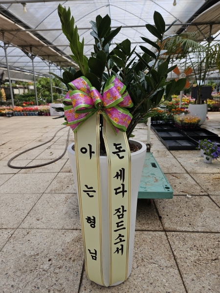 �������� ������õ - �̱׷��� ������ C �ɹ�� ���� 