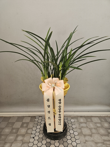 [�λ��̵� ��õ] �Ͼ���� �Ǿ�� ��ǰ�ִ� ����� �ɹ�� ���� 