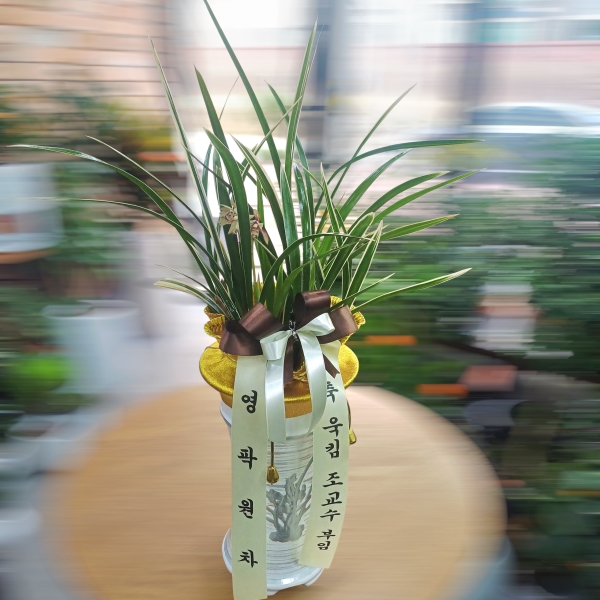 [�λ��̵� ��õ] ���� ���� �Ǿ��ִ� ����� �ɹ�� ���� 