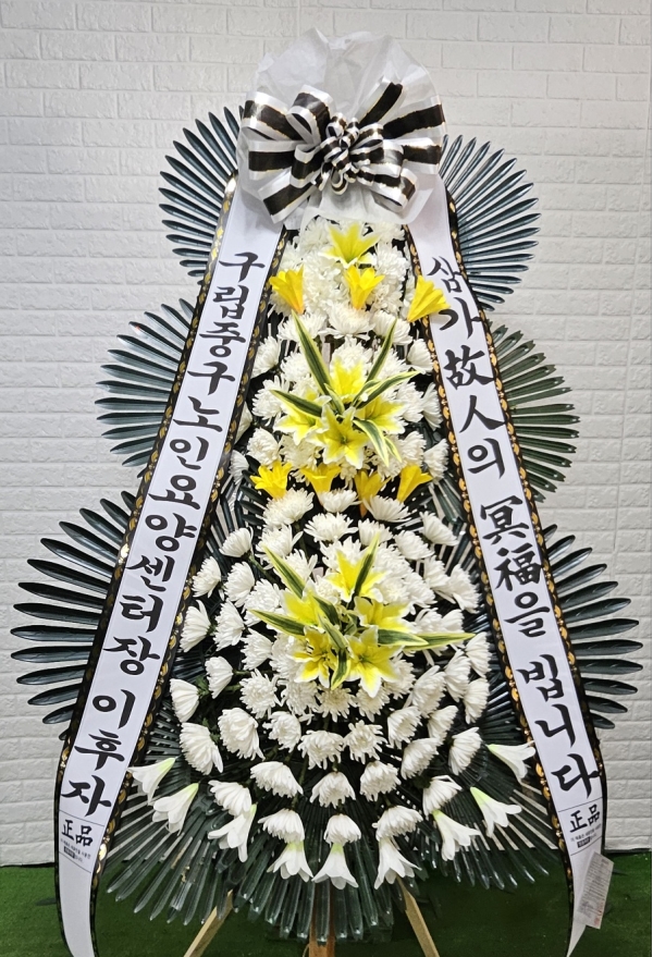 ���� �ֵ��� ���� ����ȭȯ �ɹ�� ���� 