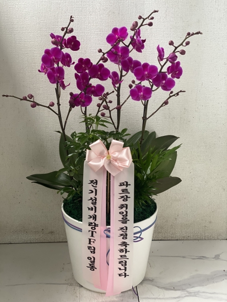 [����,������]����� ������ ���� - ��õȫ (��) (ȭ�⺯��) �ɹ�� ���� 