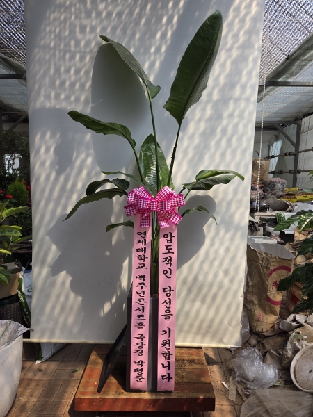 ����� �����ִ� �ڿ��� ���� - ������(��) �ɹ�� ���� 