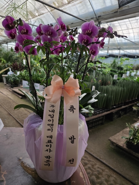 [����] ������ �������� ���ڱ� ���� - ��ũ ���׻� (��) �ɹ�� ���� 