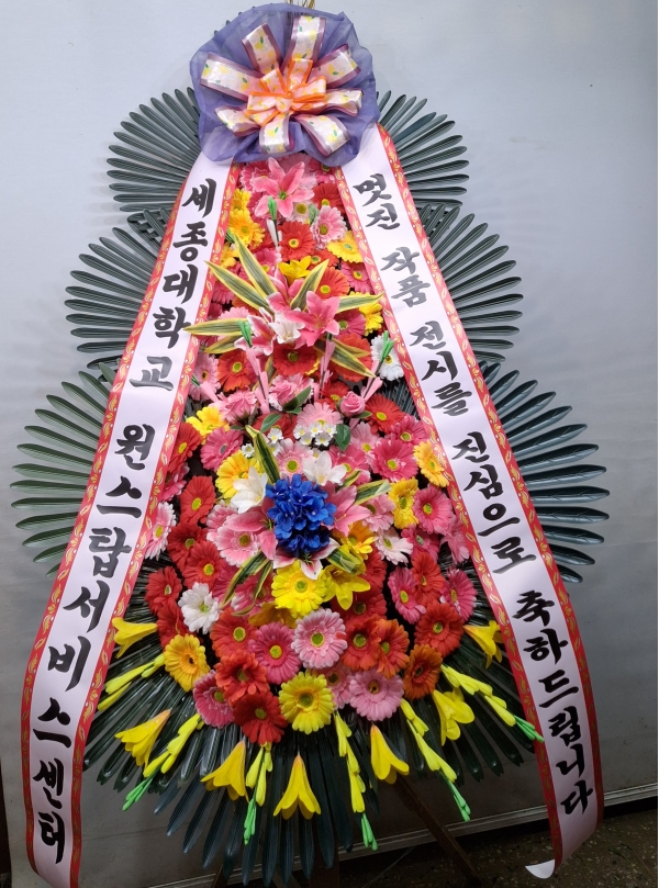 ����3�ܱ⺻ȭȯ �ɹ�� ���� 