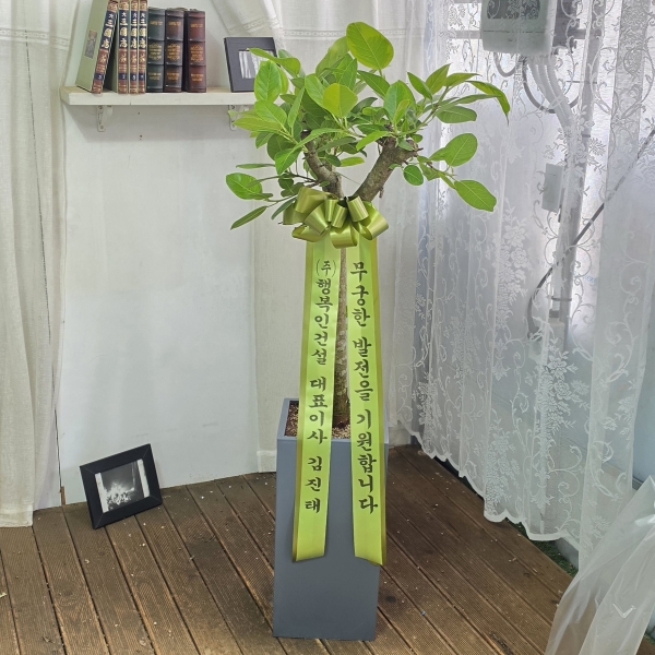 ������ ������ ���� - �𰥰�������(��) �ɹ�� ���� 