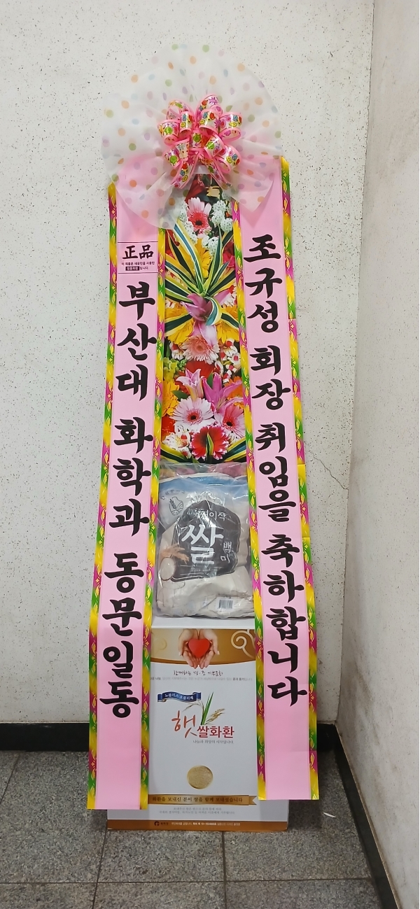 ����3�ܱ⺻ȭȯ �ɹ�� ���� 