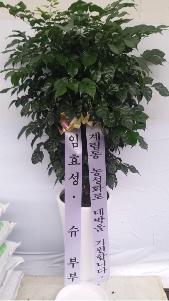  õ -  캸A ɹ  