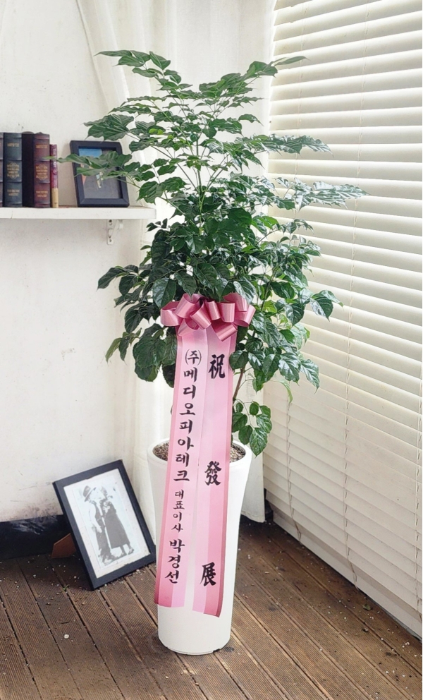  õ -  캸A ɹ  