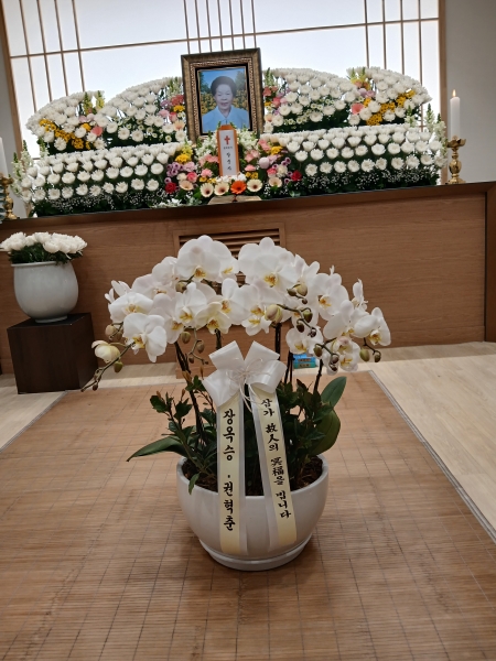 �������ܿ� ���ȣ����(�ְ���) �ɹ�� ���� 