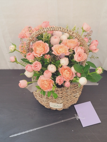 []Rose day-ູ  ɹ  