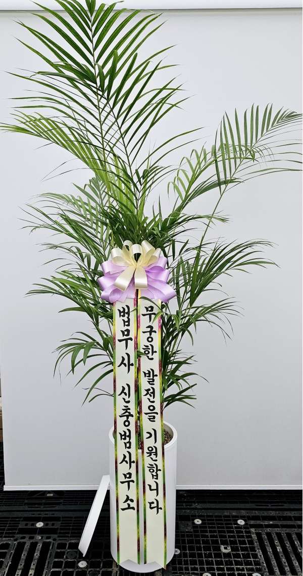 Office & Nature Ʒī (Ư) ɹ  