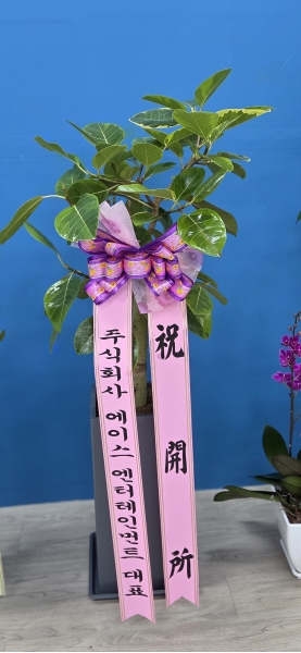 ������ ������ ���� - �𰥰�������(��) �ɹ�� ���� 