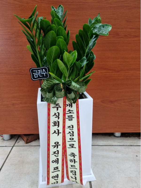 �������� ������õ - �̱׷��� ������ C �ɹ�� ���� 