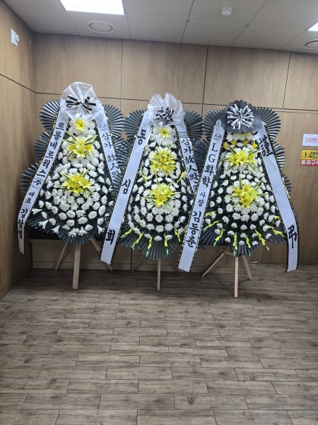 ����3��ȭȯ �ɹ�� ���� 