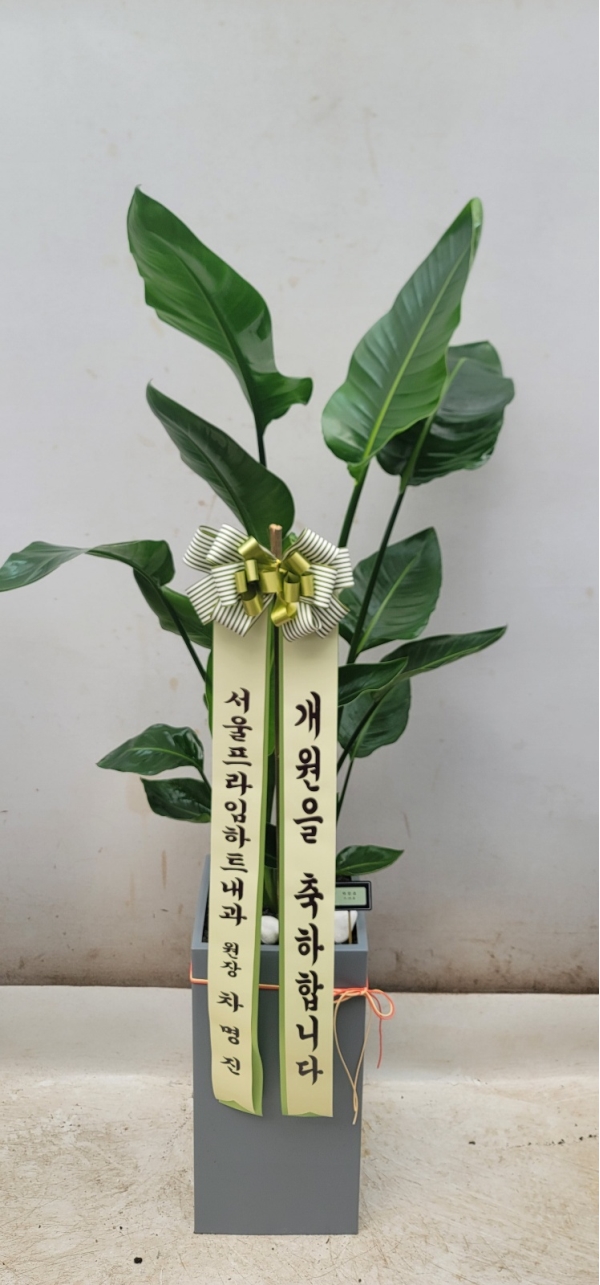 ����� �����ִ� �ڿ��� ���� - ������(��) �ɹ�� ���� 