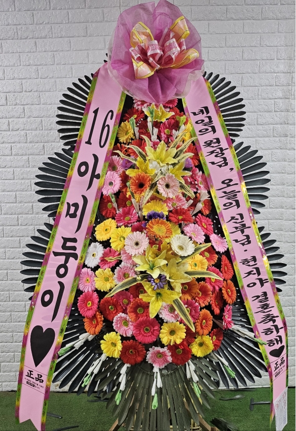 ������ ���� ����3��ȭȯ �ɹ�� ���� 