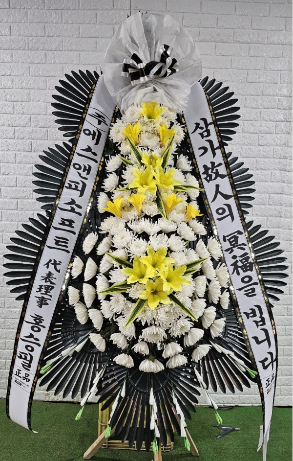 ���� �ֵ��� ���� ����ȭȯ �ɹ�� ���� 