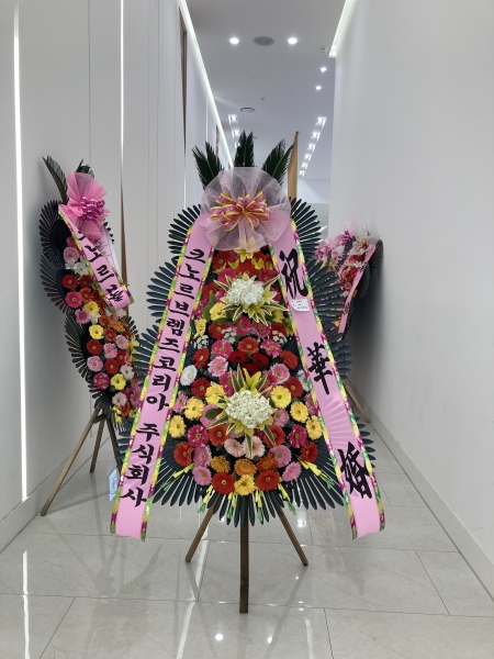 ����3�ܱ⺻ȭȯ �ɹ�� ���� 