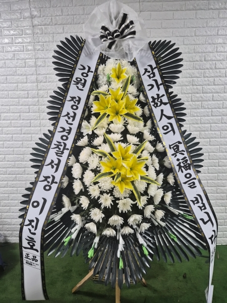 ������ ���� ���� 3�� ȭȯ �ɹ�� ���� 